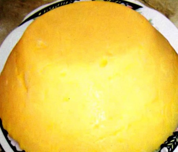 Плавленный сыр в домашних условиях рецепт с фото