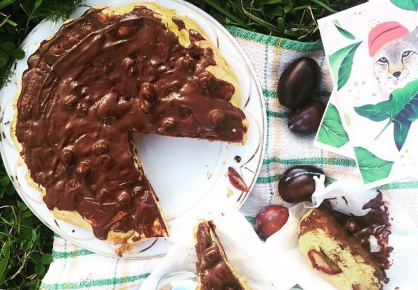 Сливовый пирог с шоколадом рецепт с фото