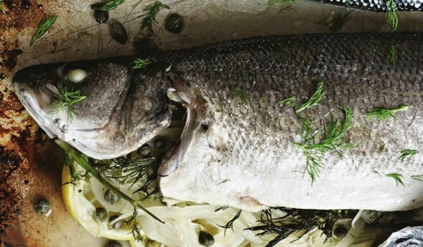 Сибас рыба от Гордона Рамзи рецепт с фото