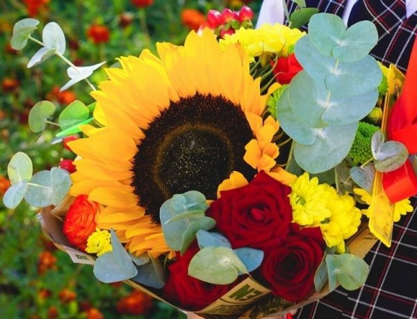 5 лучших способов выбрать свежие цветы